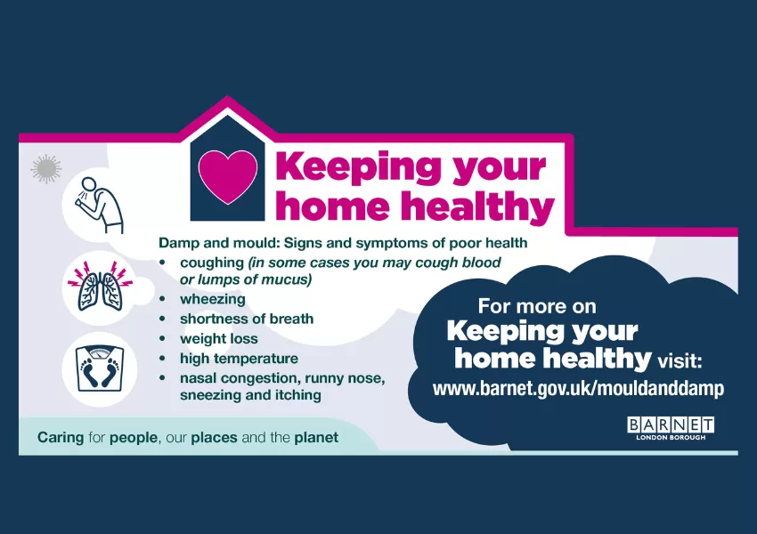 Illustration with clouds and mould spores in blue, pink and grey. Bullet point list of signs and symptoms of poor health due to living with damp and mould. Text reads: Keeping your home healthy.