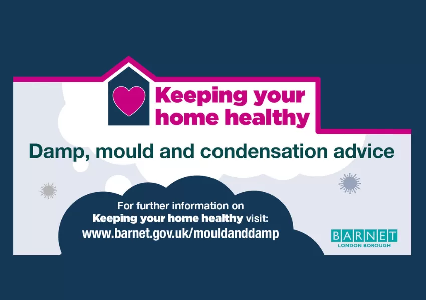 Illustration with clouds and mould spores in blue, pink and grey. Text reads: Keeping your home healthy: damp, mould and condensation advice.
