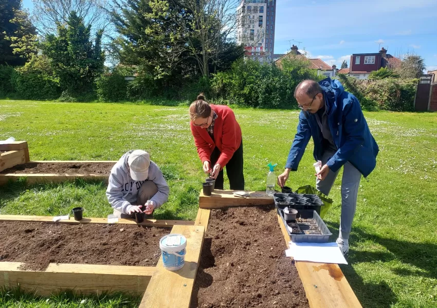 people at a raised gardening bed 