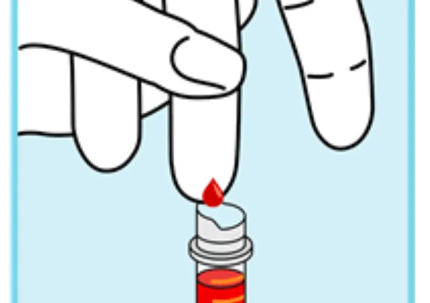 Blue background with someone gently massaging the finger from the base to the tip (using a milking motion) to allow drops to fall into the tube.