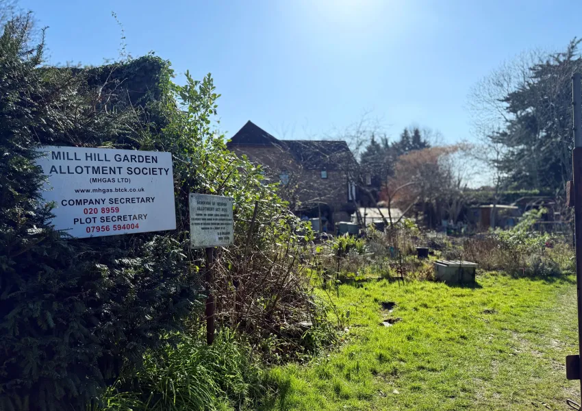 Mill Hill Allotments