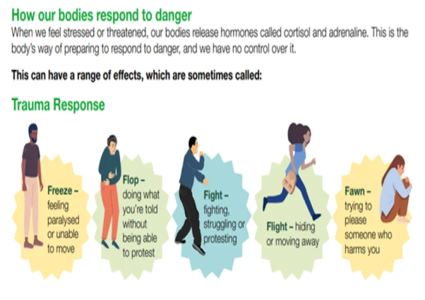 White background explaining five trauma responses: fight, flight, fawn, freeze, flop with cartoon images related to each trauma response